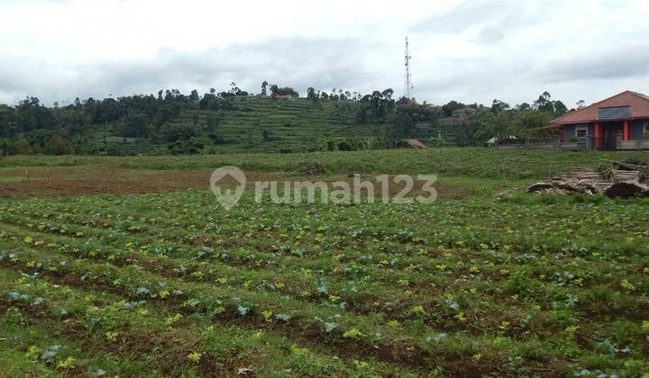 Cocok untuk Investasi Tanah dengan LT 10909 M2, di Cisarua Lembang