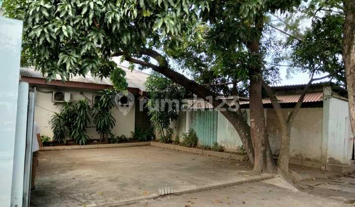 Selling Old House with Land Measurement Plumpang North Jakarta