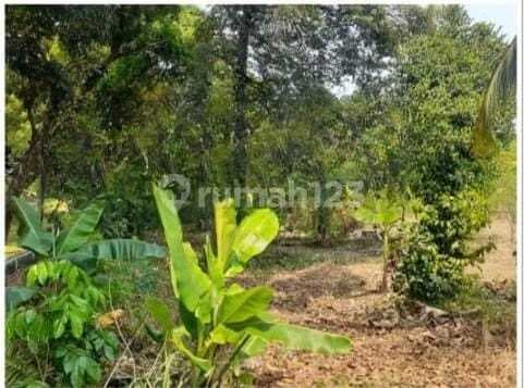 Land in Pondok Rajeg Cibinong Bogor Negotiable Strategic