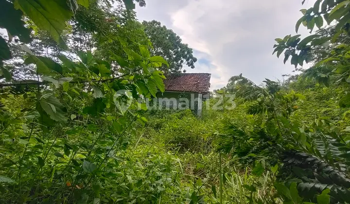 Tanah di Curugbitung SHM 2.0 ha