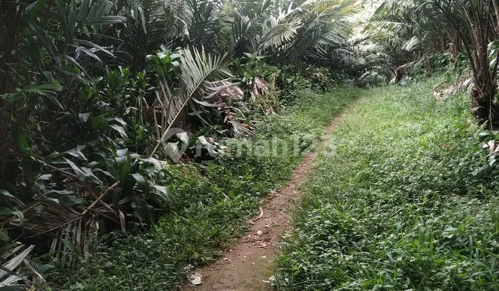 Tanah SHM Pamulihan Sumedang