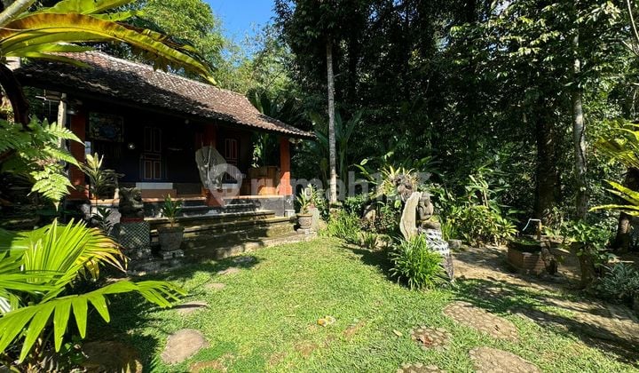 House In Tampaksiring Bali East Ubud Good SHM