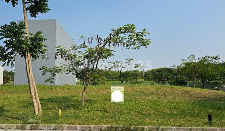 Golf Island Pik Plot Size 8X25 Good Position Lowest Price