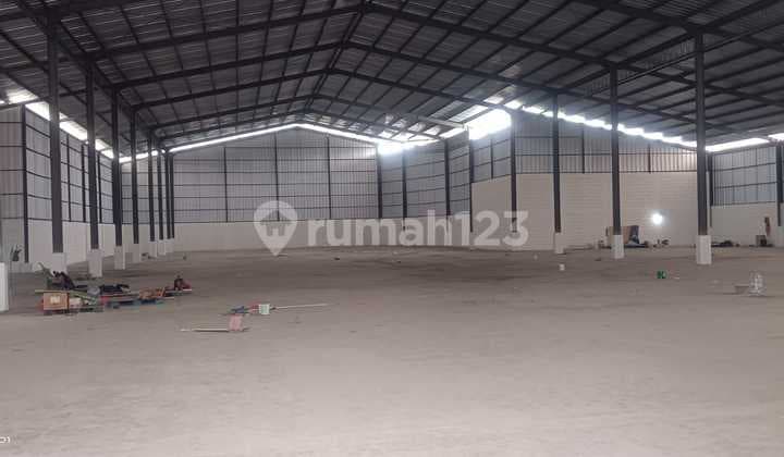 Gudang Pesing Poglar Luas 2000m2 Muat Container 40ft Siap Pakai