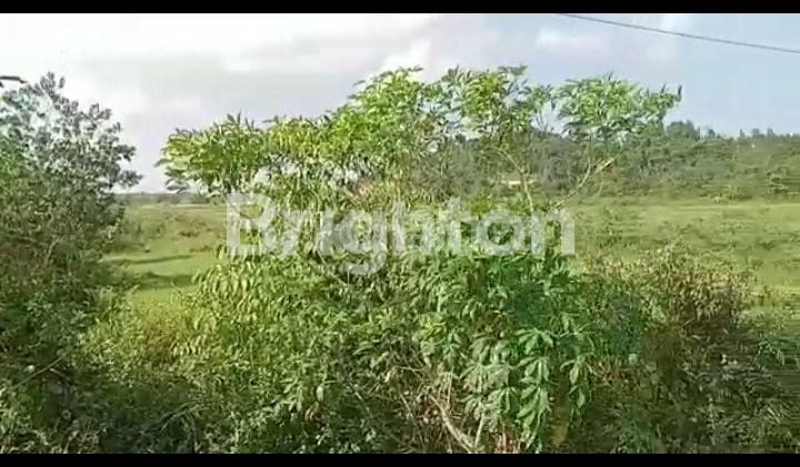 TANAH 16.000 M² SIAP BANGUN