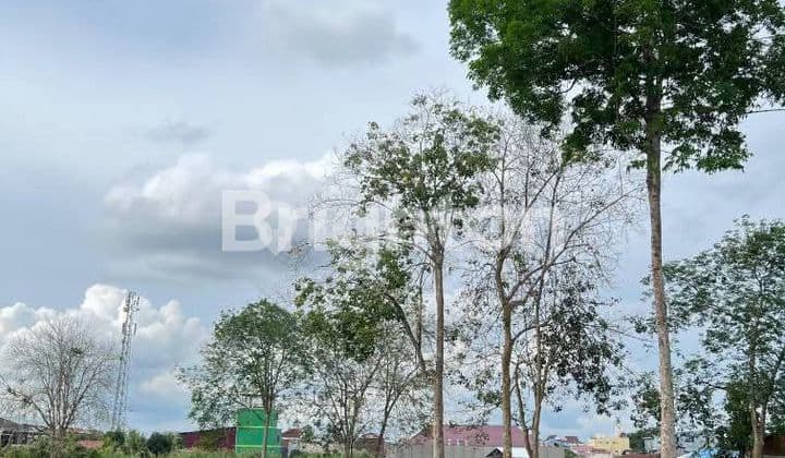 TANAH KAPLINGAN SIAP BANGUN