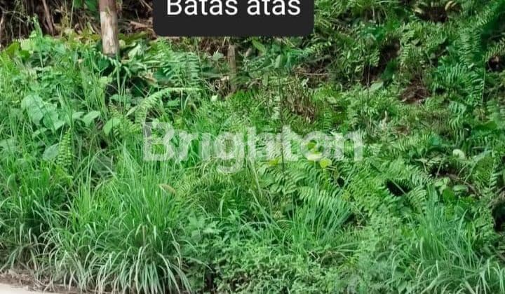 TANAH DEKAT PERGUDANGAN SUTAMI AKSES KONTAINER