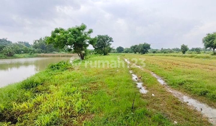 Tanah Siap Bangun di Lingkar Barat Sumurwelut Surabaya Dekat Citraland