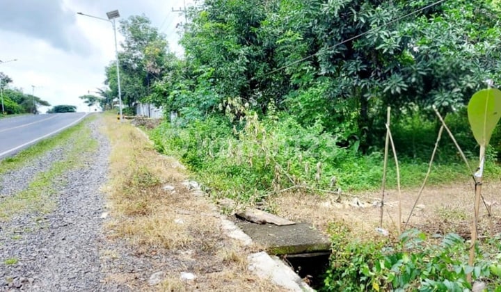 Quick Sale Land 336m2 Near Provincial Road Surabaya Madiun.