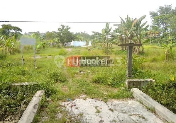 Mijen Demak Village Plot