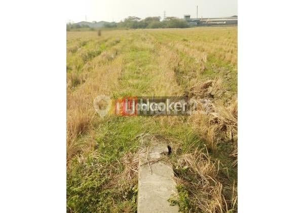 Kavling di Onggorawe Demak