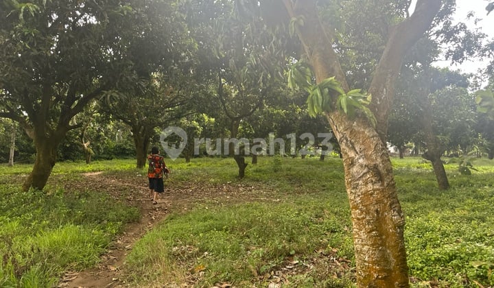 Tanah Kosong di Karawang Timur