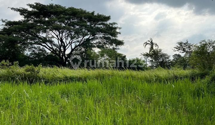 Dijual Cepat Kavling Strategis Taman Simpruk Lippo Cikarang, Unit Terbatas