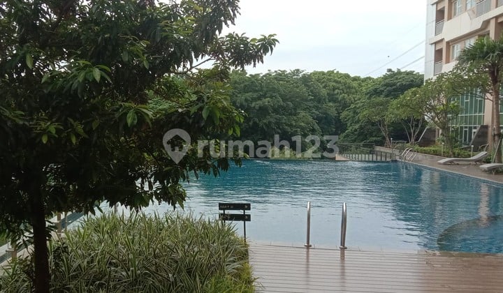 Apartemen Cozy Full Furnish Trivium Lippo Cikarang Hanya Rp650 Jt