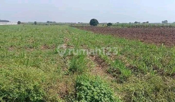 Tanah Industri Lahan Siap Pakai Mojokerto Shm