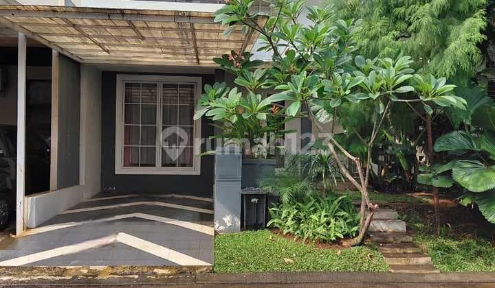 Rumah Minimalis 2 Kamar Tidur Harga Menarik