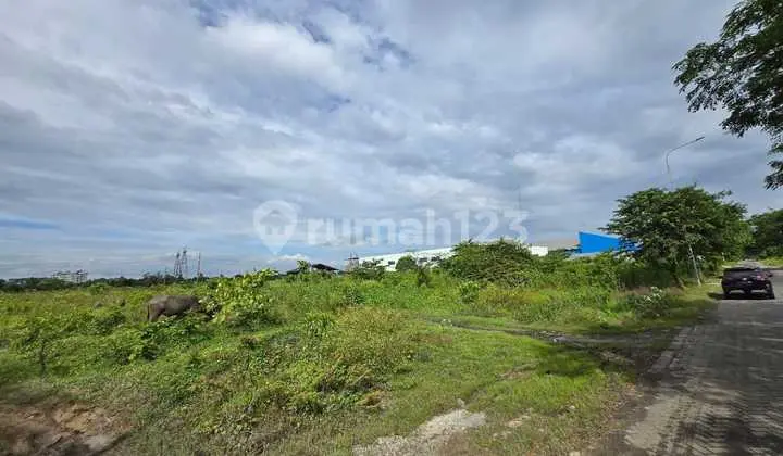 Dijual Murah Harga Di Bawah Pasaran Tanah di Modern Cikande Industrial Estate Tangerang