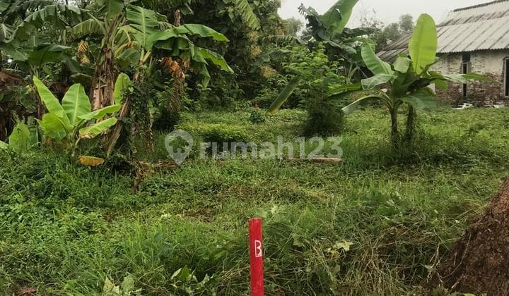 Jual Cepat Tanah Kavling Siap Bangun Ramai Penduduk