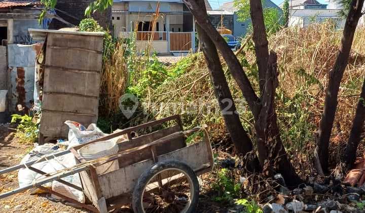 For Sale: Cheap, Ready-to-Build, Hooked Land Plots, Ambyar Sedati