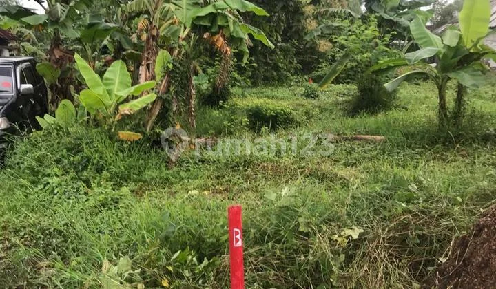 Land for Sale Per Meter Around 1 Million Can Be Installed in the Plot