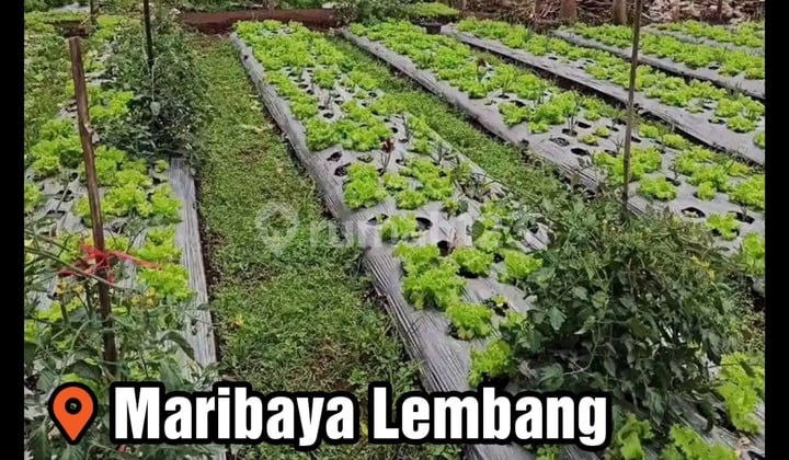 Tanah Area Maribaya Lembang Bandung