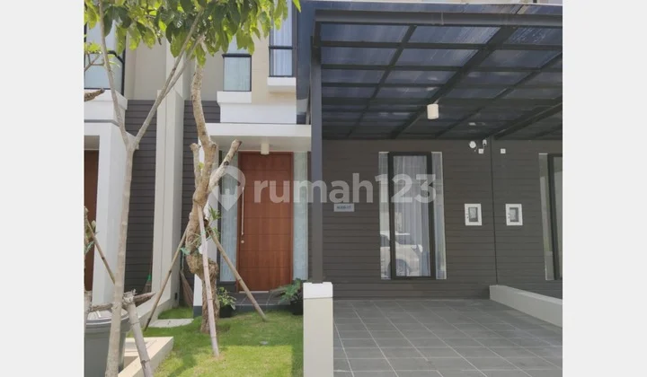 Exclusive Northwest Central Meteora Superior Type North Citraland Exclusive Northwest Central Meteora Superior Type North Citraland