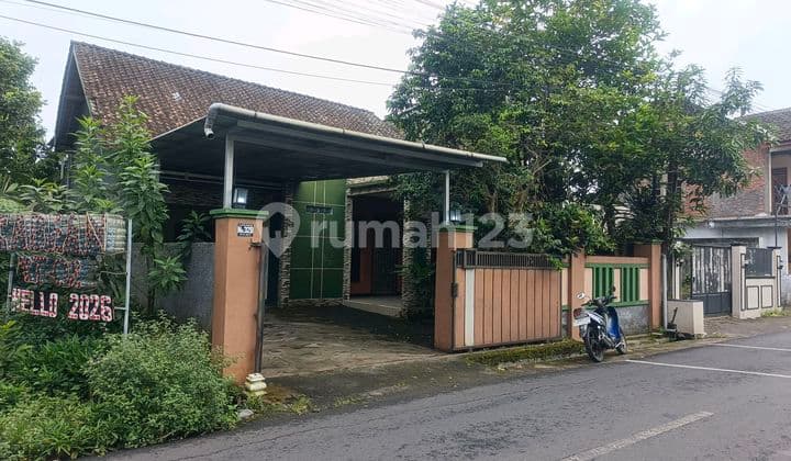 For Rent House Suitable for Business or