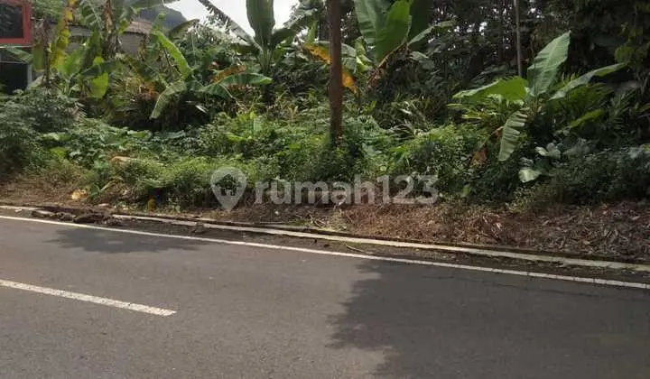 Dijual Tanah Murah Dekat Kampus Satya Wacana