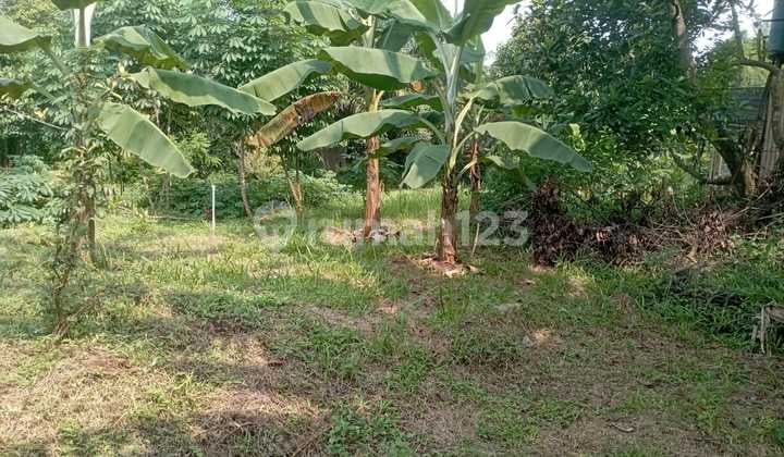 Land Plot for Sale in Harjamukti Cibubur, Near LRT Cibubur Station