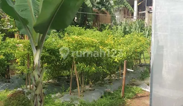 Di Jual Cepat Tanah di Cipayung, Jakarta Timur