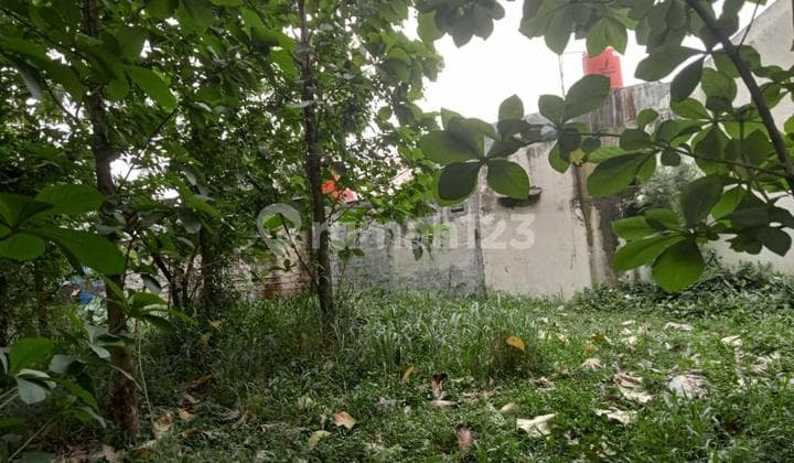 Land For Sale in Cibinong - Kandang Roda