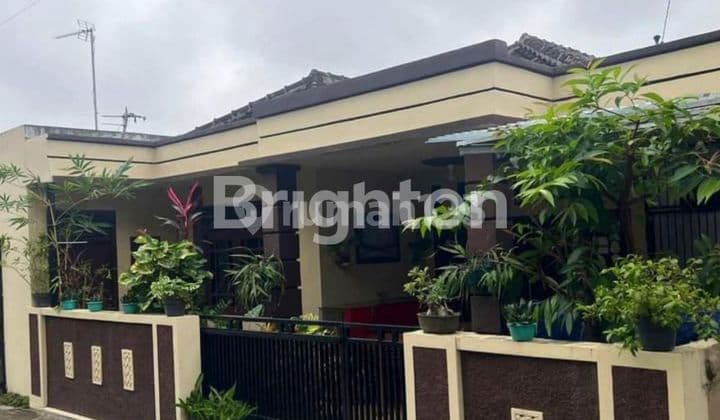 Rumah Minimalis Pulau Damar Way Kanfis