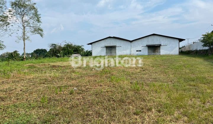 Warehouse Rental Bandar Lampung