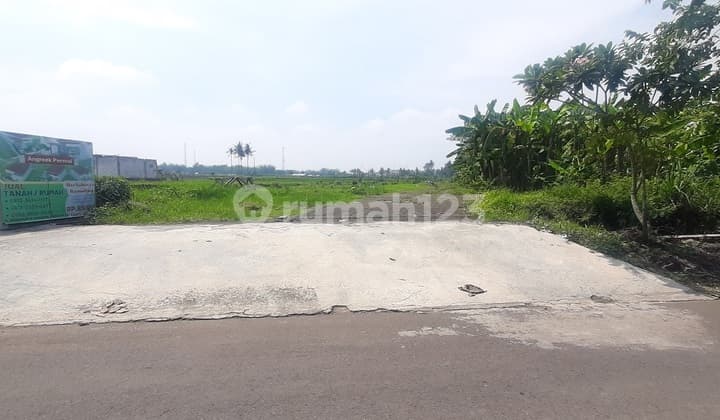 Promo Tanah Kavling murah Pakis Malang Sumberpasir pinggir jalan aspal