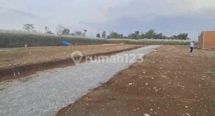 Promotion for Strategic Land Plots in a Row at Araya, Binus Campus