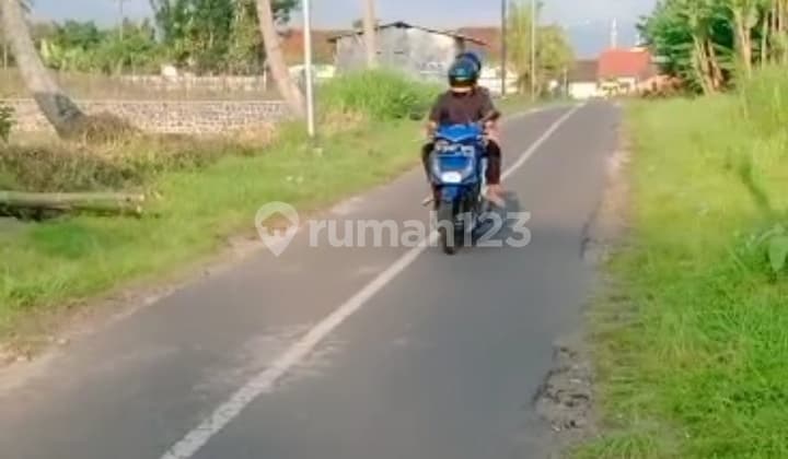 Tanah Kavling Murah Tumpang Malang Wringinsongo Pinggir Aspal Lokasi Sangat Strategis