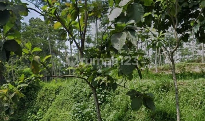 Di Jual Lahan Lokasi Dayurejo Pandaan