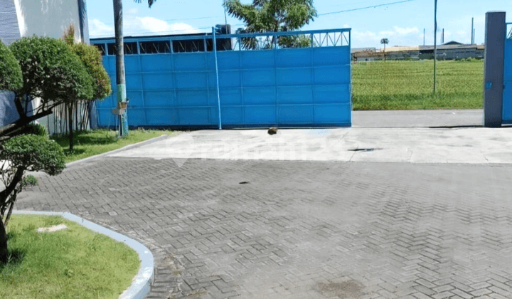 DIJUAL PABRIK PENGALENGAN IKAN MUNCAR BANYUWANGI alat lengkap