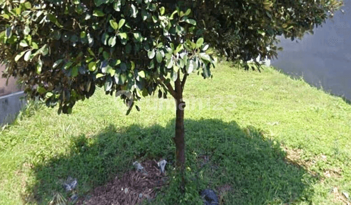 Plot Citraland South Emerald Mansion Row Main Road Cluster