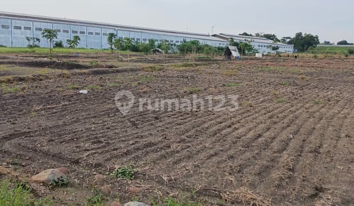 Dijual Lahan Industrial Wilayah Driyorejo Gresik Kontainer 40 Ft