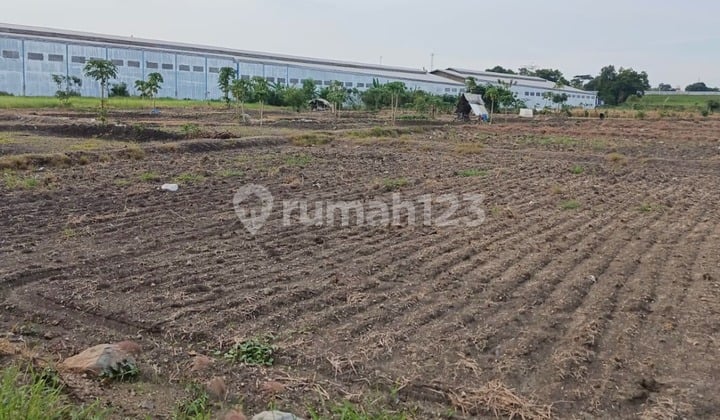 Industrial Land for Sale in Driyorejo Area, Gresik, 40 Ft Container