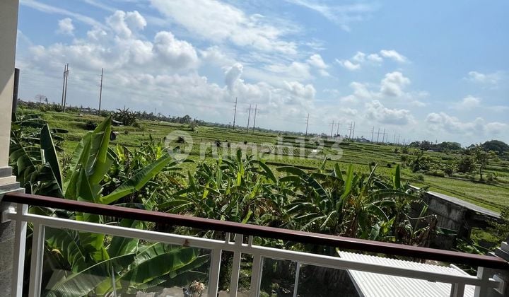 Ready Unit Siap Huni Rumah Baru View Sawah Bypass Gianya