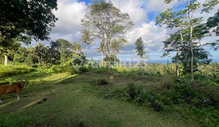 Tanah Murah Lokasi Strategis Itr Kuning Karangsem