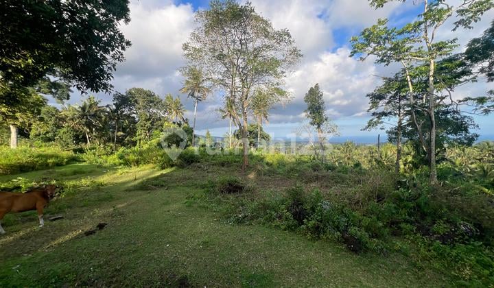 Tanah Murah Lokasi Strategis Itr Kuning Karangsem