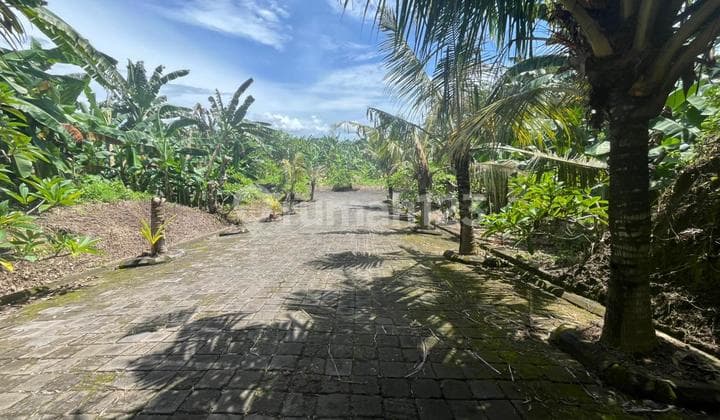 Cheap Land in a Strategic Location Near Siyut Beach, Gianyar