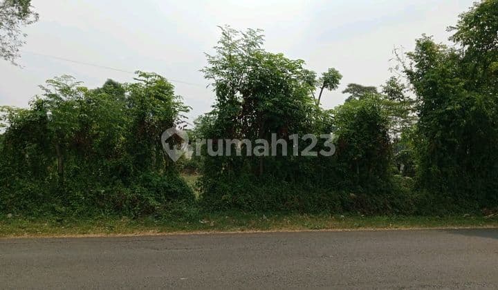 Dijual Cepat Tanah 5000an Buat Investasi