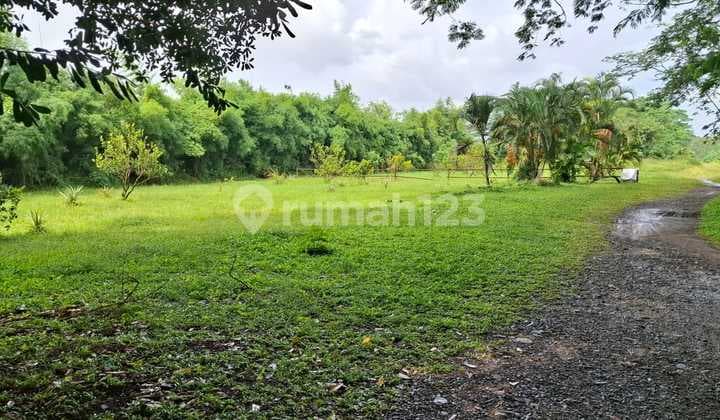 Tanah Strategis Sekali Siap Bangun Komersial Unit Dipinggir Jalan Raya Cikande Rangkas Bitung.harga Nego