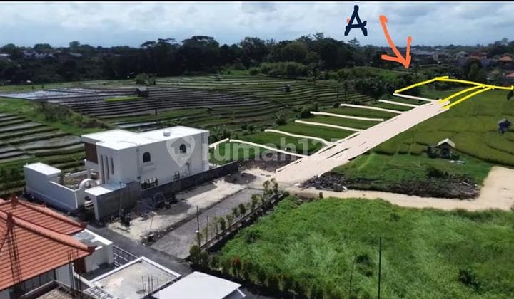 Kavling Canggu Cocok Untuk Villa Hotel Rumah