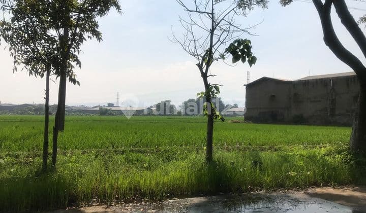 Jarang Ada Tanah Dijual Murah Di Batujajar