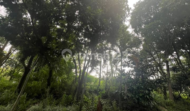 Kavling Eksklusif Siap Bangun di Dago Citra Green
